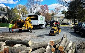 Best Arborist Consultation Services  in Wellington, TX